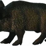 Boar Boar Collect Figurină (004-88363), Collecta