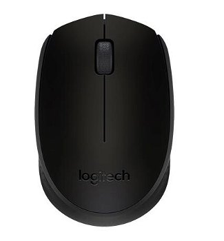 Mouse Wireless Mouse M171 Black USB, Logitech