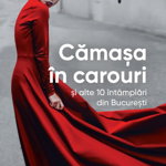 Camasa in carouri si alte 10 intamplari din Bucuresti - Doina Rusti, Doina Rusti