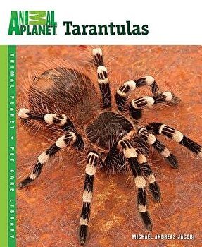 Tarantulas (Animal Planet Pet Care Library)