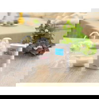 Pompa de san electrica dubla 9+