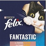 Hrana umeda pentru pisici Felix Fantastic Somon in Aspic, 85g
