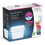 Filtru de Apă Evolve (6 uds), BigBuy Home