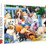 Puzzle Trefl, Caini in gradina, 1000 piese