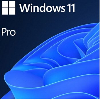 Licenta Microsoft® Windows 11 PRO 64-bit ENG INTL, 1PK, DSP DVD