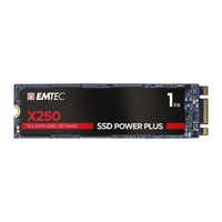 SSD Emtec Power Plus X250 1TB SATA 3 M.2