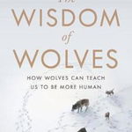 Wisdom Of Wolves - Elli H Radinger - Elli H. Radinger