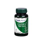 Ciuperca tibetana 60 capsule, Dvr Pharm