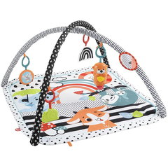 Saltea de joaca 3in1 FISHER PRICE MTHBP41O, 0 luni+, multicolor