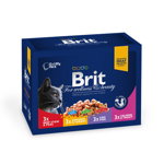 Brit Premium Multipack Family Plate, 4 arome, pachet mixt, plic hrană umedă pisici, (în sos), 12 x 100g, Brit