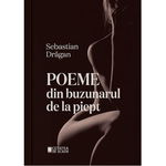 Poeme din buzunarul de la piept - Sebastian Dragan, Cetatea de Scaun