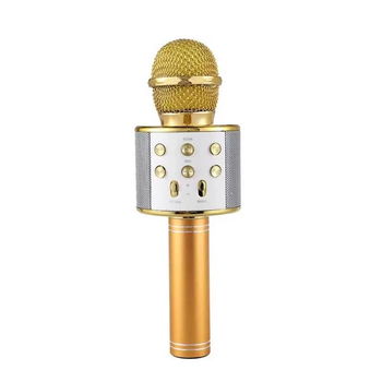 Microfon karaoke SIKS profesional cu boxa inclusa, SD Card, USB, AUX, Gold, 