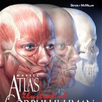 Marele atlas ilustrat al corpului uman - ***