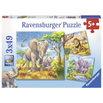 Puzzle Animale Salbatice, 3X49 Piese, Ravensburger