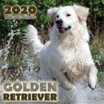 Golden Retriever 2020 Mini Wall Calendar