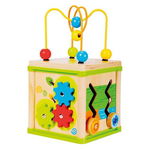 Jucarie Cub de Dexteritate 5 in 1