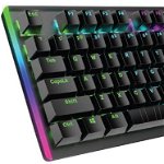 Tastatura gaming, Vertux, 6 moduri iluminare, Negru/RGB