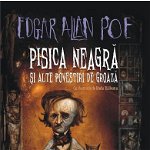 eBook Pisica neagra si alte povestiri de groaza - Edgar Allan Poe, Edgar Allan Poe