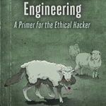 Practical Social Engineering: A Primer for the Ethical Hacker - Joe Gray, Joe Gray