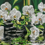 Set pictura pe numere - Calm near orchids | Brushme, Brushme
