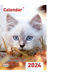 Calendar de perete 2024. Pisici (A4), 