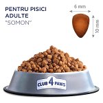 Hrana uscata Club 4 Paws Premium pentru pisici, cu somon, 14 kg