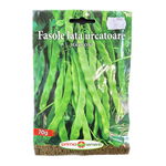 Seminte fasole urcatoare verde Marconi, 70 gr, Prima Sementi