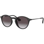 Ray-Ban RB4243 865/13, Ray-Ban