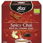 Ceai Bio Spicy Chai