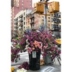 Puzzle Flori In New York, 300 Piese, Ravensburger
