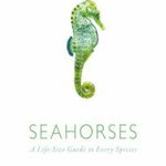 Seahorses: A Life-Size Guide to Every Species - Sara A. Lourie, Sara A. Lourie