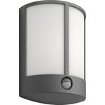 Stock ir wall lantern anthracite 1x6w