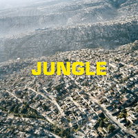 The Blaze - Jungle - Vinyl