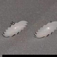 Cercei cu surub cuart roz semisfere 8mm, StoneMania Bijou