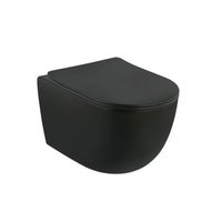 Set complet vas WC si bideu suspendat, Fluminia, Minerva, negru, cu rezervor, cadru si clapeta Alca negru mat, 