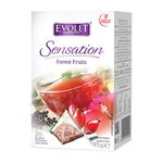 Ceai Rooibos cu vanilie, 20 plicuri, Evolet, Evolet