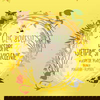 30 de povesti despre istetime si viclenie. Volum de povesti bilingv maghiar-roman