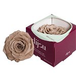 Trandafir Natural Criogenat Premium cu diametru 10cm + cutie cadou (Alege Culoarea: Trandafir Criogenat ALB), 