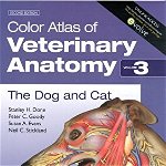 Color Atlas of Veterinary Anatomy