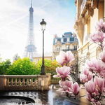 Puzzle Ravensburger Spring In Paris 500pc 