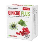 Ginkgo Plus 30 capsule, Parapharm