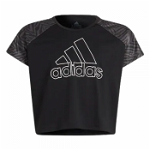 T-Shirt Poli Cb, Adidas