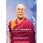 Forta binelui. Viziunea lui Dalai Lama pentru lumea de azi, Daniel Goleman