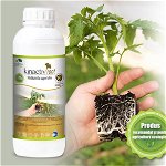 Kinactiv Root 1 L biostimulator inradacinare cu aminoacizi si microelemente, radicular sistemic, Summit Agro, produs Bio/ ecologic, Sumi Agro