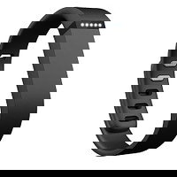 Fitbit Flex black