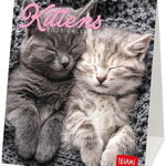 Calendar de birou 2023 - Kittens, Legami