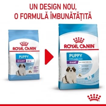 Royal Canin Giant Puppy hrană uscată câine junior etapa 1 de creștere , 15kg, Royal Canin