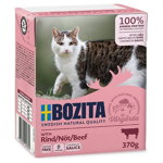 Hrana umeda pentru pisici Bozita