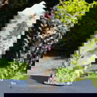 Turn rubelit/ turmalina roz m2, druzy.ro - Cristale, Home Deco