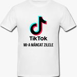 Tricou Tiktok Mi-a Mancat Zilele Mesaj Funny Unisex, inTrend.ro